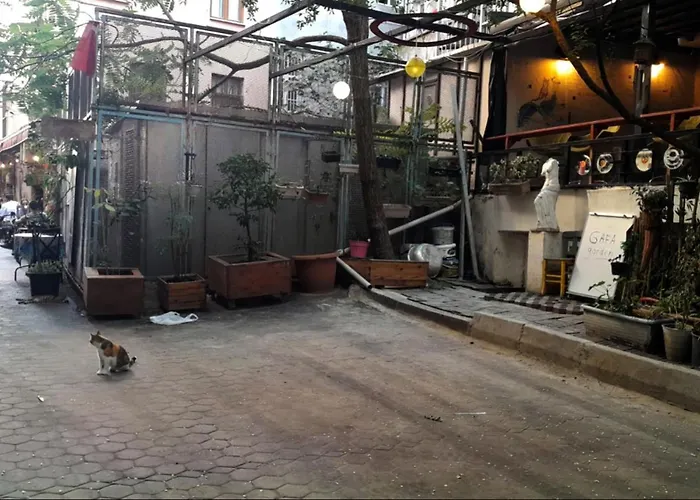 Gafa Garden Hostel & Apartments - Great Location